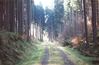 Wanderweg Oberbecken