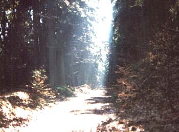 Wanderweg Oberbecken1